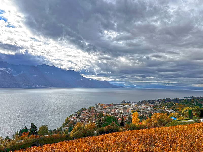 MONTREUX - VILLA D’EXCEPTION AVEC VUE PANORAMIQUE (2)
