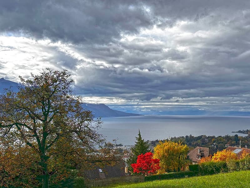 MONTREUX - VILLA D’EXCEPTION AVEC VUE PANORAMIQUE (4)
