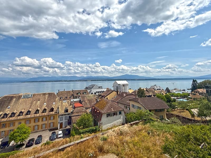 NYON - APPARTEMENT EN ATTIQUE EXCEPTIONNEL (1)