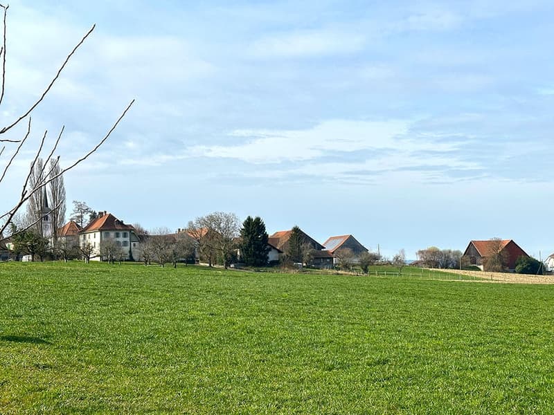 DOMAINE ÉQUESTRE DE CHARME (3)