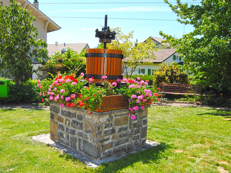 HAUTS DE BLONAY - VILLA D’EXCEPTION (3)