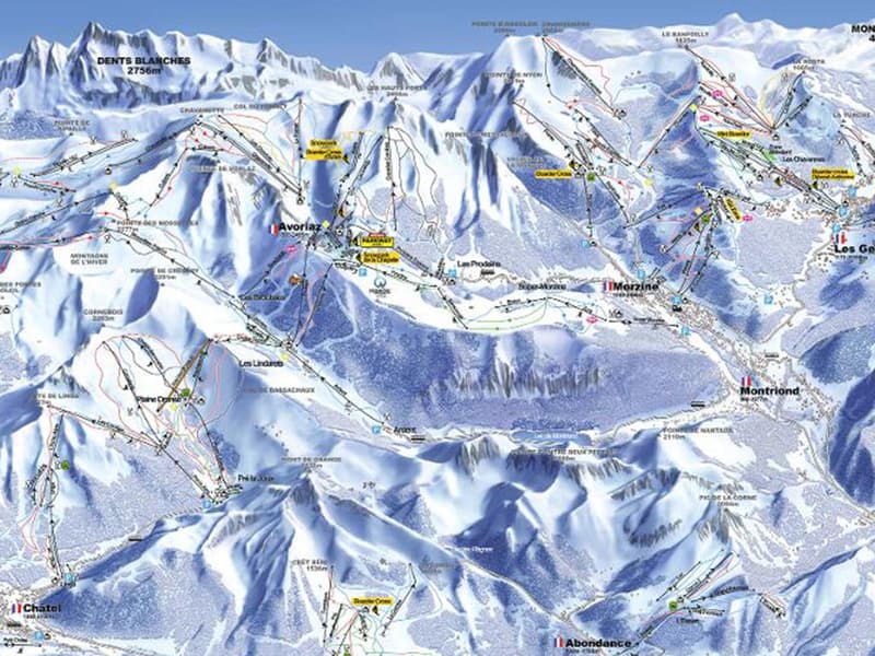 MORGINS - CHARMANT CHALET AUTHENTIQUE - 7 PIECES (2)
