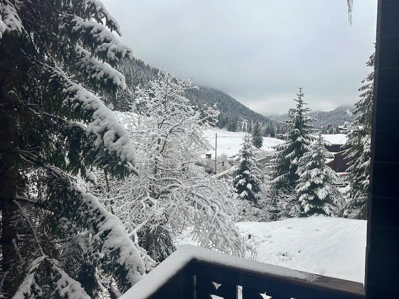 MORGINS - CHARMANT CHALET AUTHENTIQUE - 7 PIECES (3)