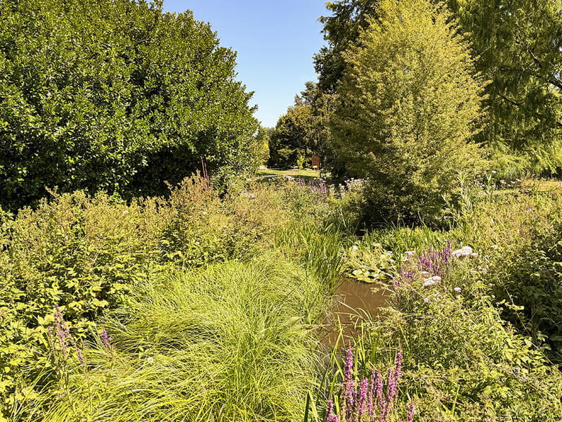 VILLA D’EXCEPTION AUX PRESTATIONS HAUT DE GAMME (3)