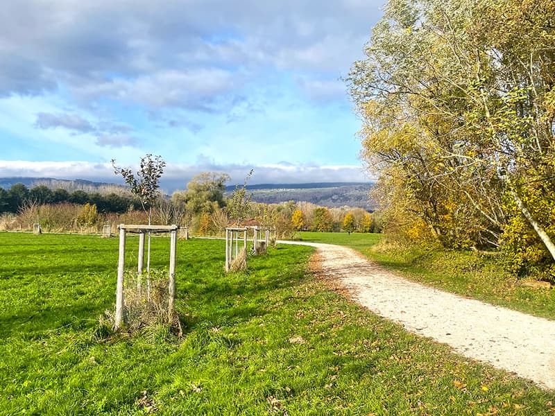 YVERDON-LES-BAINS OUEST - ADORABLE MAISON VILLAGEOISE (3)