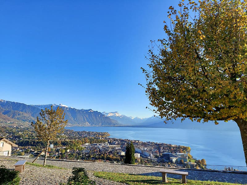CHARDONNE-EST - VILLA AVEC VUE EPOUSTOUFLANTE (1)