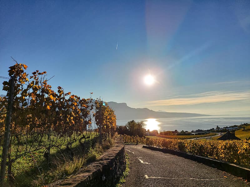 CHARDONNE-EST - VILLA AVEC VUE EPOUSTOUFLANTE (2)