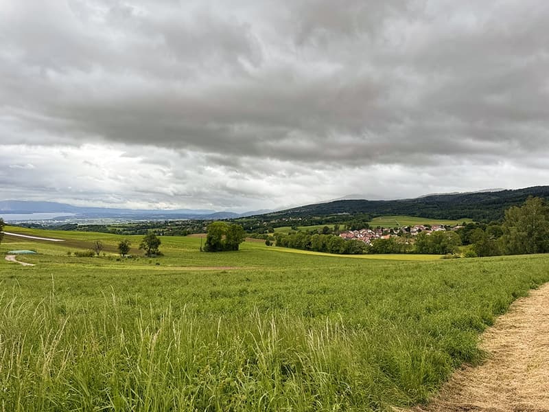LONGIROD SUD - MAISON MITOYENNE ENTIÈREMENT RÉNOVÉE (2)