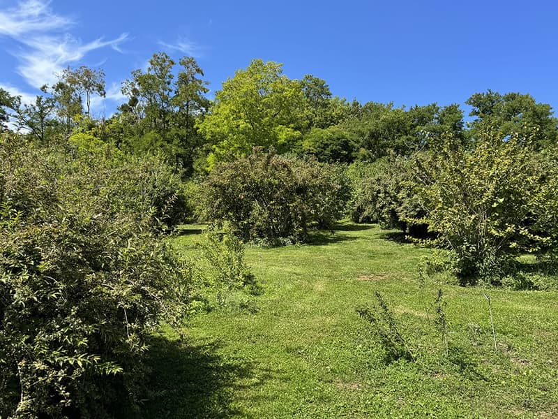 NOUVELLE PROMOTION - Appartements neufs avec terrasses et vue panoramique sur le lac (2)