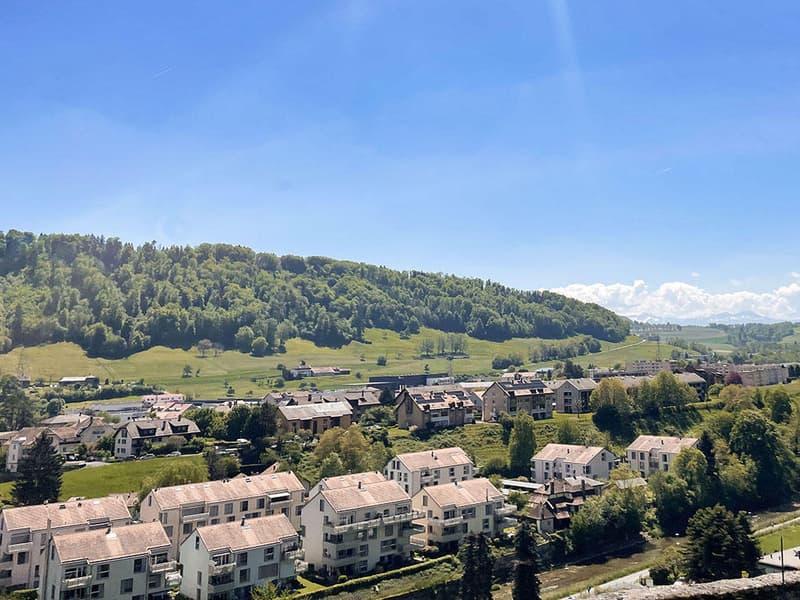 MOUDON NORD - IMMEUBLE AVEC RENDEMENT ET POTENTIEL ATTRACTIF (3)