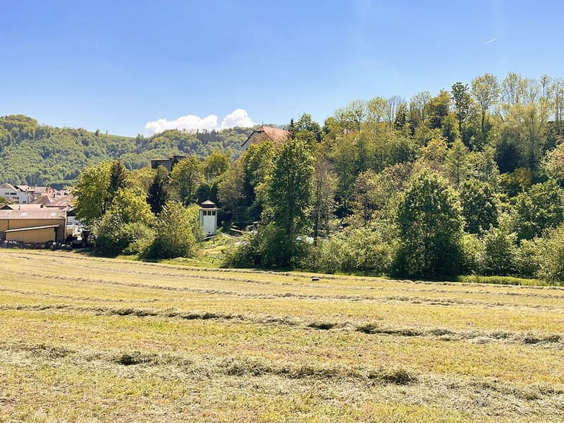 MOUDON NORD - IMMEUBLE AVEC RENDEMENT ET POTENTIEL ATTRACTIF (2)