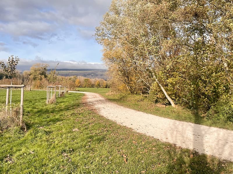 SE RÉVEILLER À QUELQUES MÈTRES DE L’EAU - OUVRIR LA BAIE VITRÉE ET SENTIR L’AIR DU LAC (2)