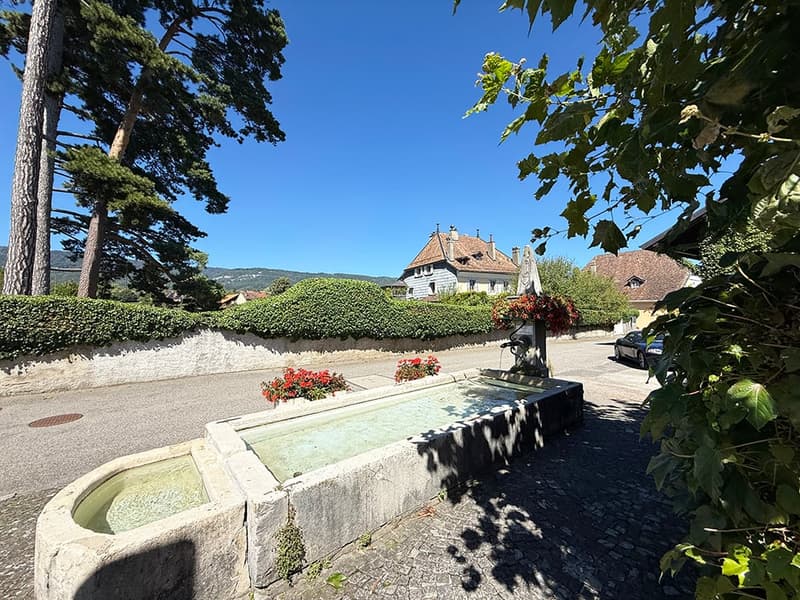TRELEX OUEST - SOMPTUEUSE VILLA - 8.5 PIECES (1)