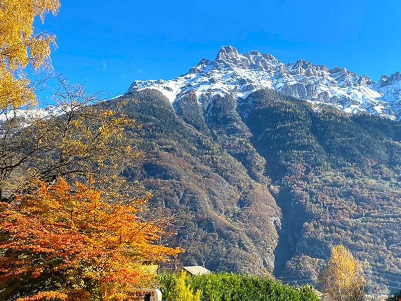 MARTIGNY WEST - SCHÖNES GEBAUDE - INTERESSANTES ERTRAGNIS (2)