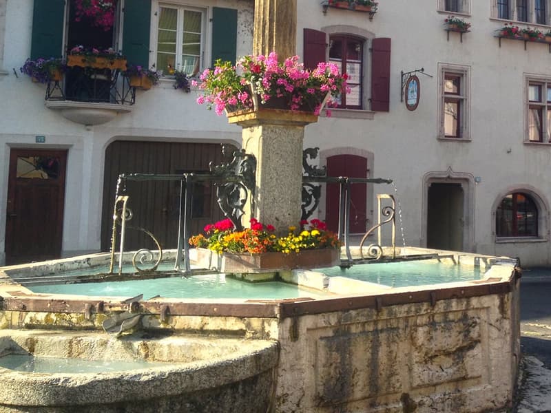 GRANDSON OUEST - SPACIEUSE VILLA INDIVIDUELLE AU CALME (1)