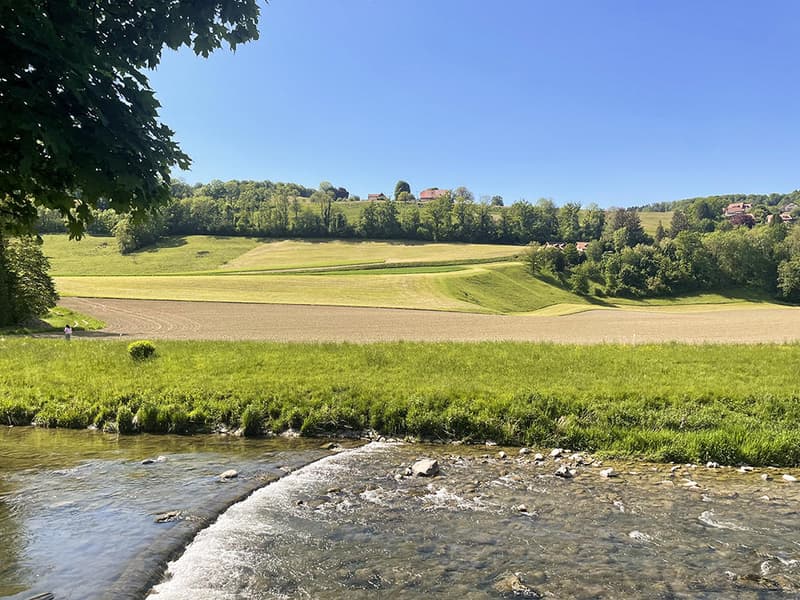 House for investors in the center of Moudon (3)