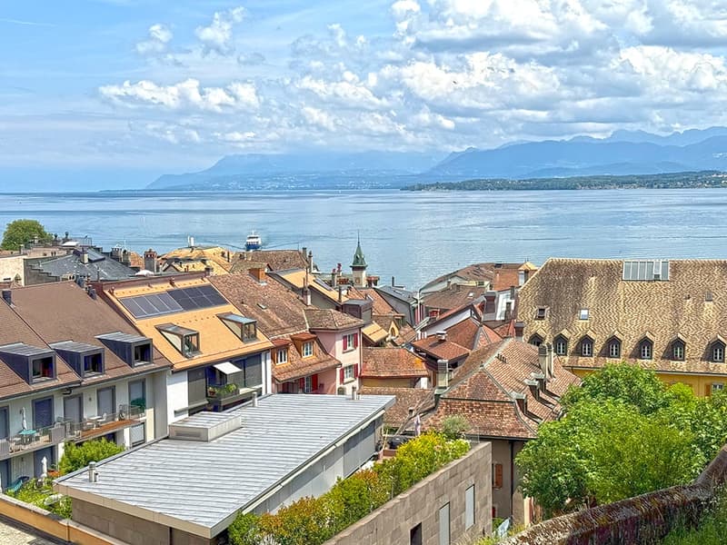 NYON - APPARTEMENT EN ATTIQUE EXCEPTIONNEL (4)