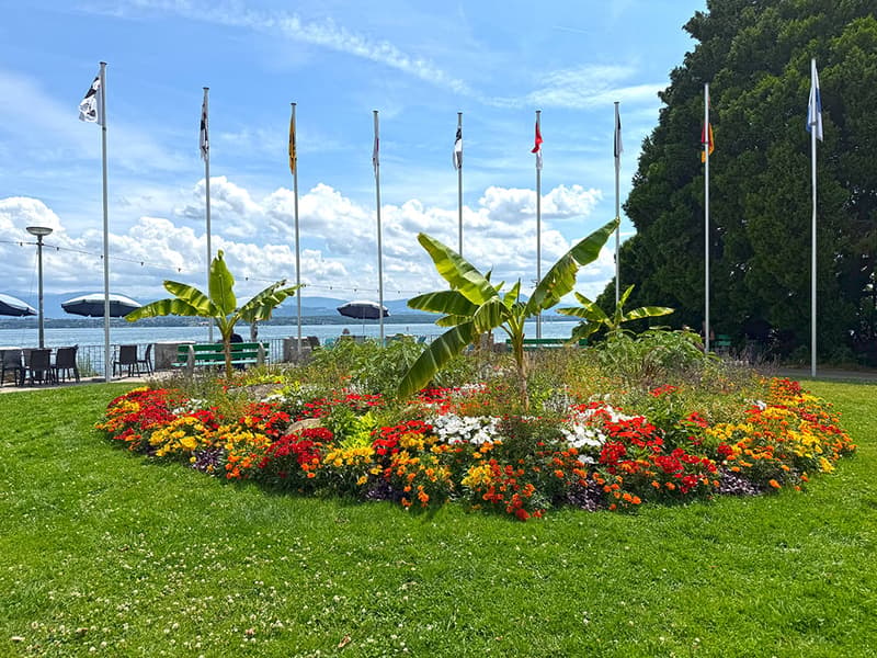 NYON - APPARTEMENT EN ATTIQUE EXCEPTIONNEL (1)