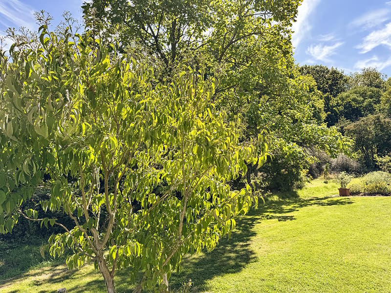 ELEGANTES VILLAS JUMELLES NEUVES - CADRE VERDOYANT ET PRIVILEGIE (3)