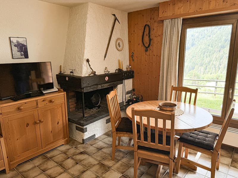 OVRONNAZ - CHARMANT APPARTEMENT - 4.0 PIECES (6)