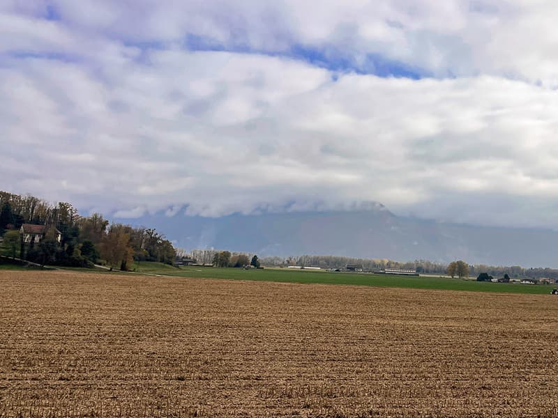 EVIONNAZ ALENTOURS - TERRAIN EXCEPTIONNEL (2)
