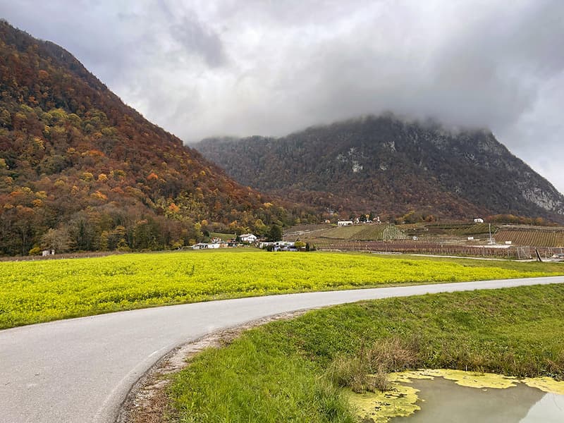 EVIONNAZ ALENTOURS - TERRAIN EXCEPTIONNEL (3)