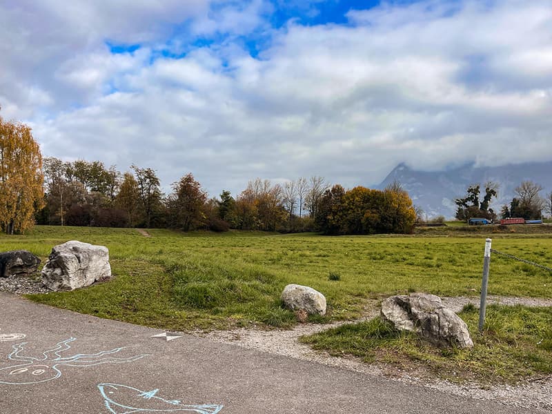EVIONNAZ ALENTOURS - TERRAIN EXCEPTIONNEL (1)