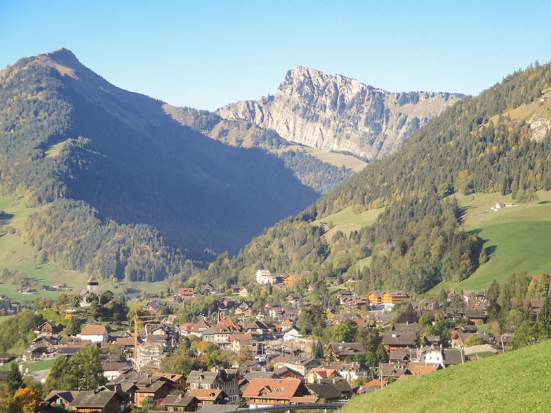 CHATEAU-D'OEX - MAGNIFIQUES APPARTEMENTS NEUFS AVEC VUE - IDEALEMENT SITUES (3)