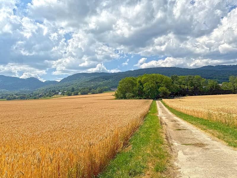 SUR LES HAUTS DE GIVRINS - MAJESTUEUSE VILLA (4)