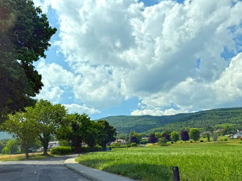 SUR LES HAUTS DE GIVRINS - MAJESTUEUSE VILLA (3)