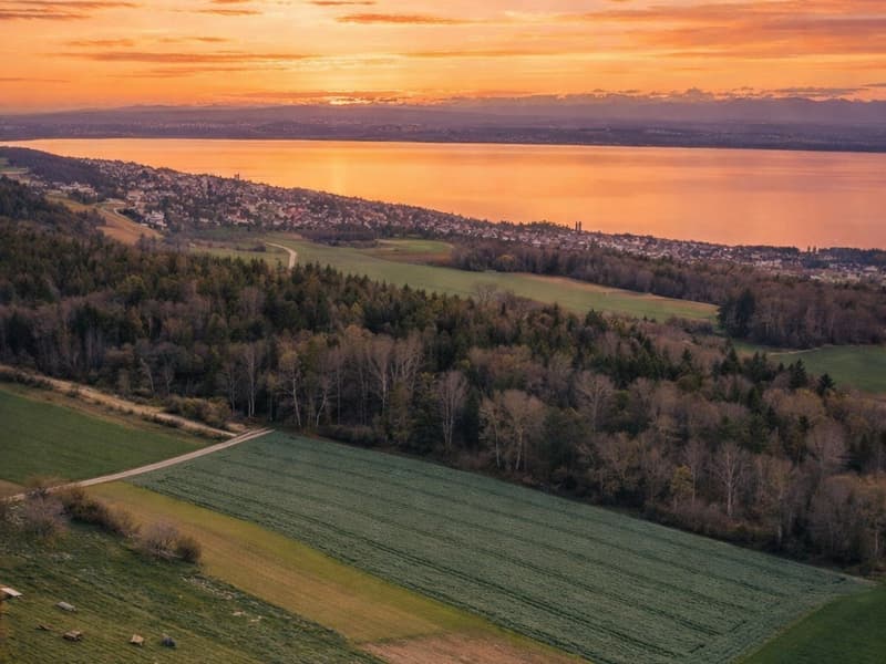 NOUVELLE PROMOTION - Appartements neufs avec terrasses et vue panoramique sur le lac (2)