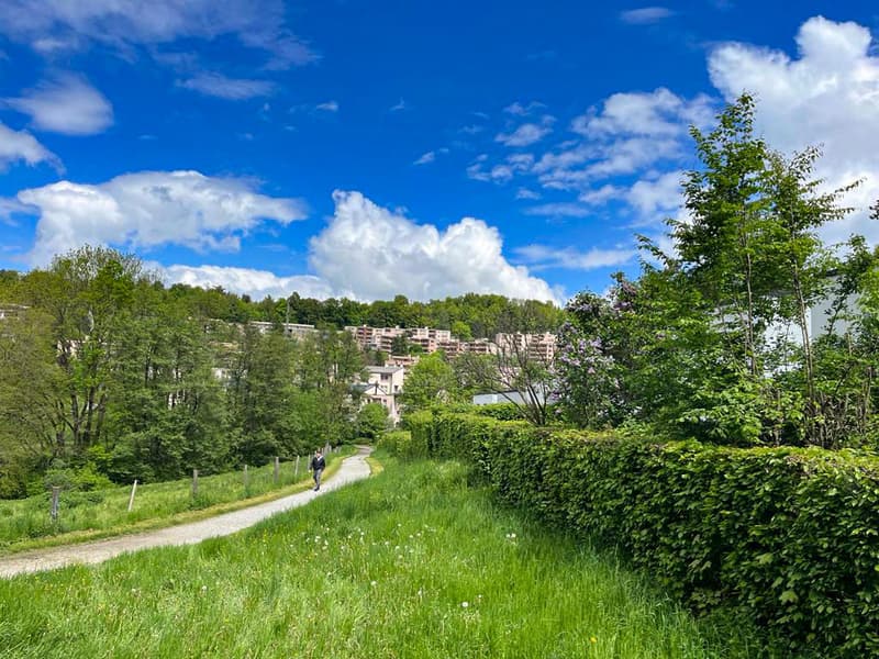 CHARMANTE MAISON INDIVIDUELLE AVEC GRAND JARDIN ET BEAU POTENTIEL D’AMÉNAGEMENT (1)