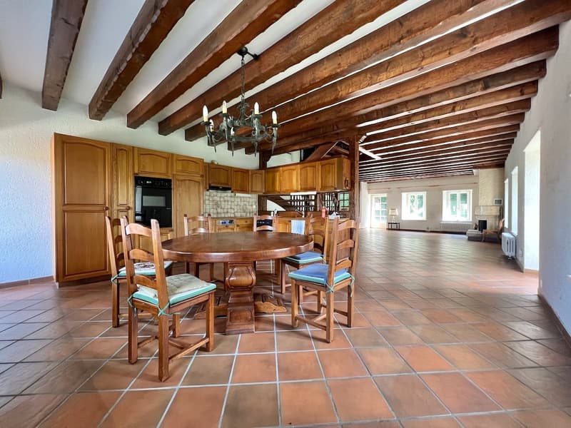 Renovated farm with 4.5 rooms and large rural property on 2 plots of 3'109 m2 (3)