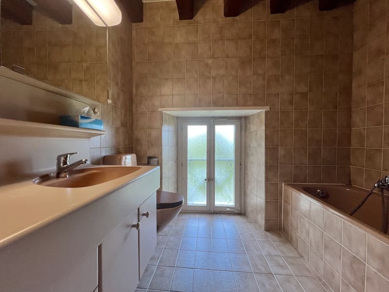 Renovated farm with 4.5 rooms and large rural property on 2 plots of 3'109 m2 (8)