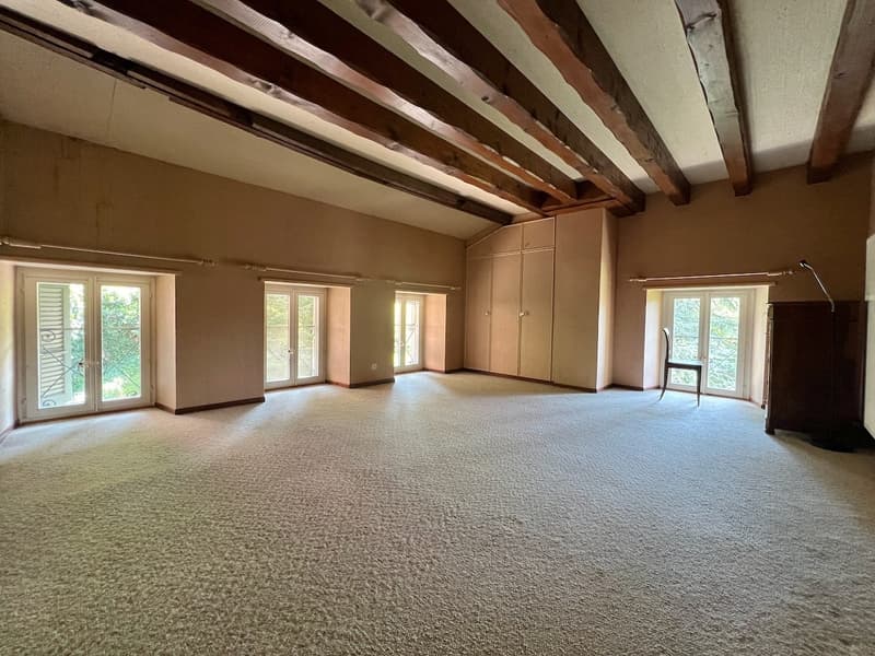 Renovated farm with 4.5 rooms and large rural property on 2 plots of 3'109 m2 (9)