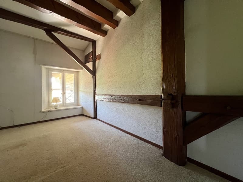 Renovated farm with 4.5 rooms and large rural property on 2 plots of 3'109 m2 (6)