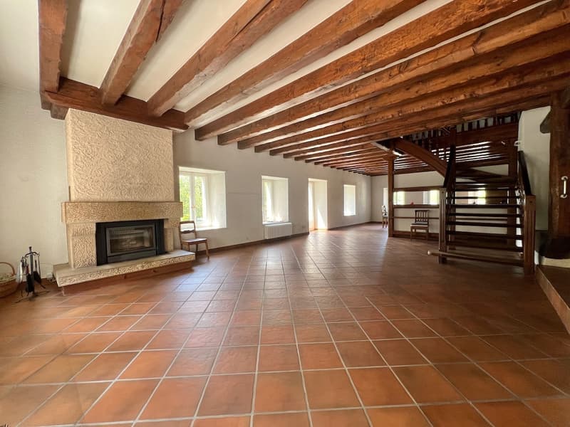 Renovated farm with 4.5 rooms and large rural property on 2 plots of 3'109 m2 (4)