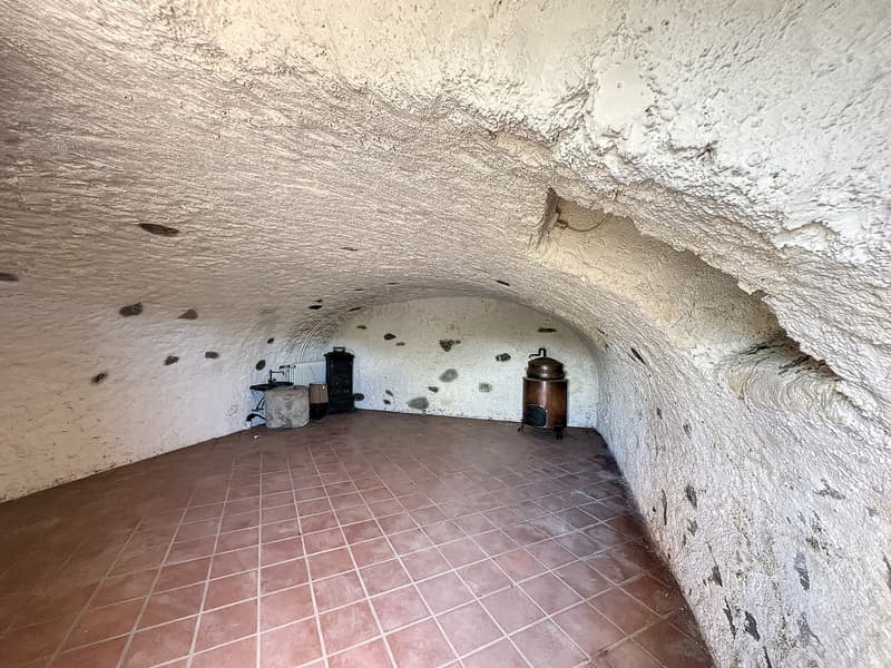 Renovated farm with 4.5 rooms and large rural property on 2 plots of 3'109 m2 (12)