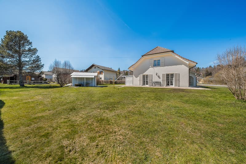 Magnificent villa located in residential area (4)