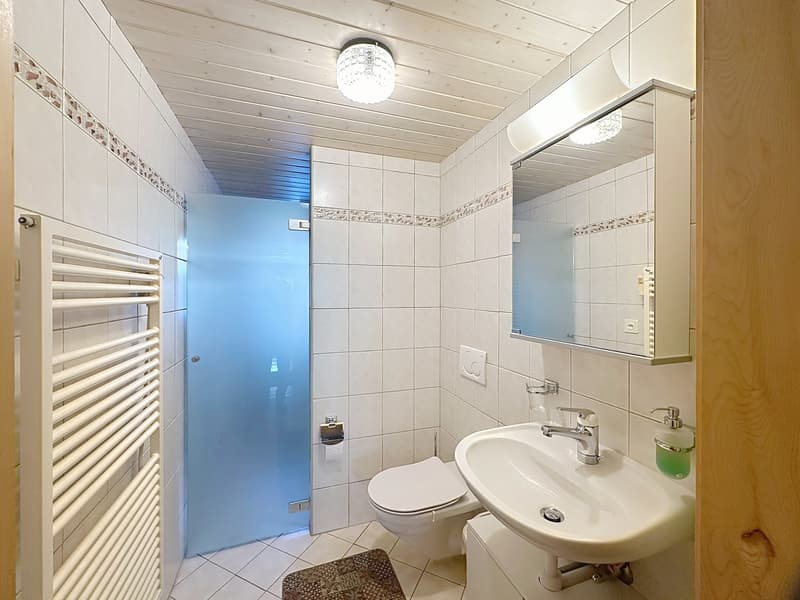Antica fattoria semidetached ristrutturata con reddito locativo di circa CHF 52'000.- (8)