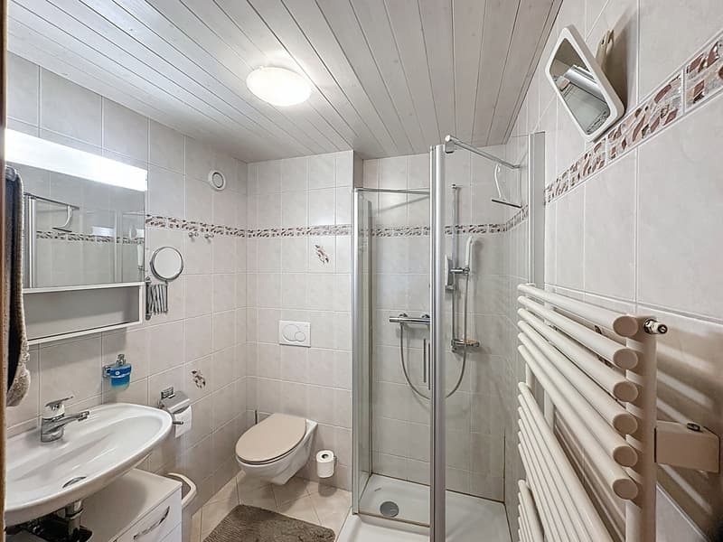 Antica fattoria semidetached ristrutturata con reddito locativo di circa CHF 52'000.- (11)
