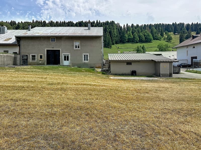 Antica fattoria rennovata a schiera (10)