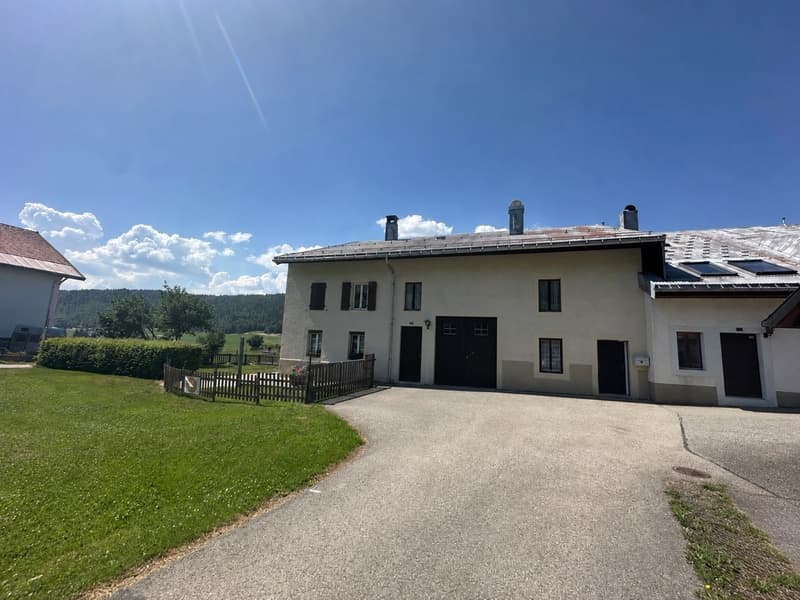 Antica fattoria rennovata a schiera (1)