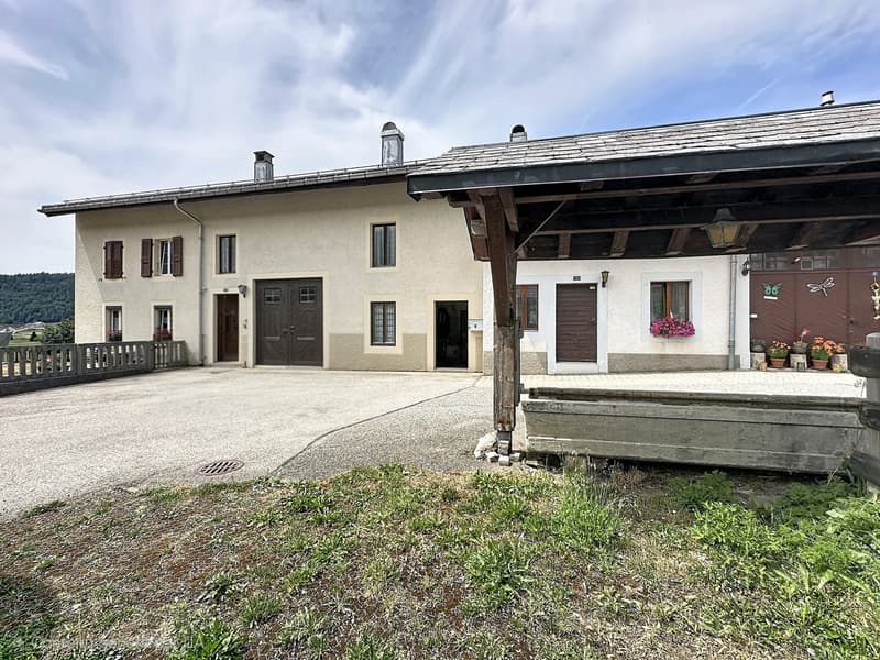 Antica fattoria rennovata a schiera (12)