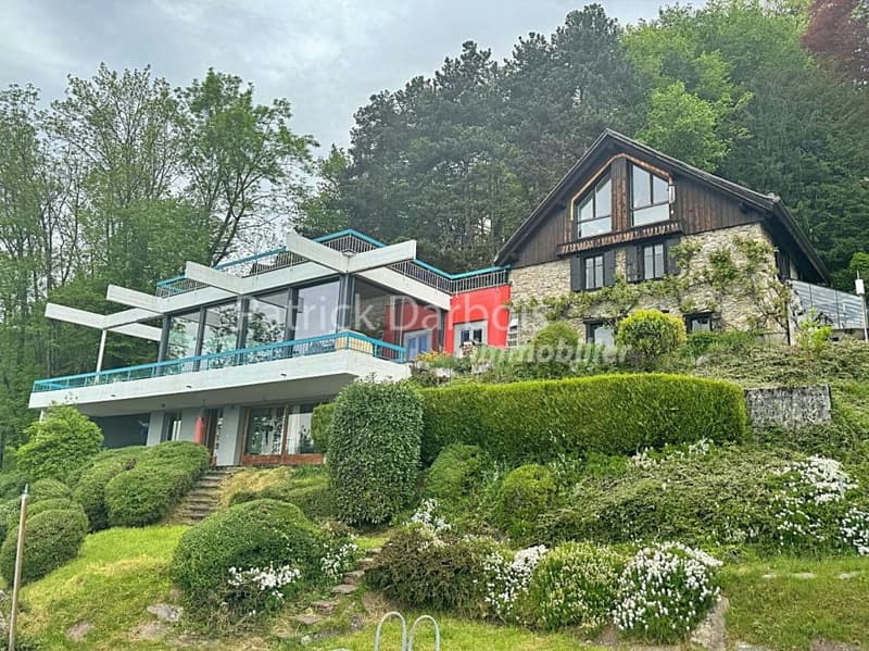 2 villas pour le prix d'une, alliant charme rustique et modernité ; dans un écrin de verdure avec vue unique et panoramique  sur le Lac Léman et les Dents-du-Midi (1)