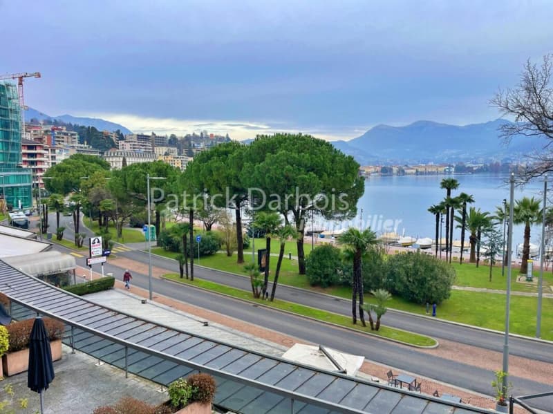 Appartamento di 3,5 locali a Paradiso (14)