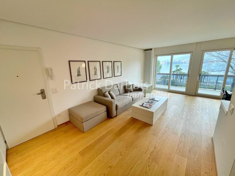 Appartamento di 3,5 locali a Paradiso (5)