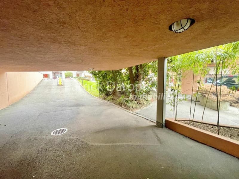 Appartamento di 3,5 locali a Paradiso (43)