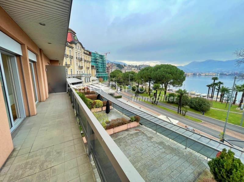 Appartamento di 3,5 locali a Paradiso (11)
