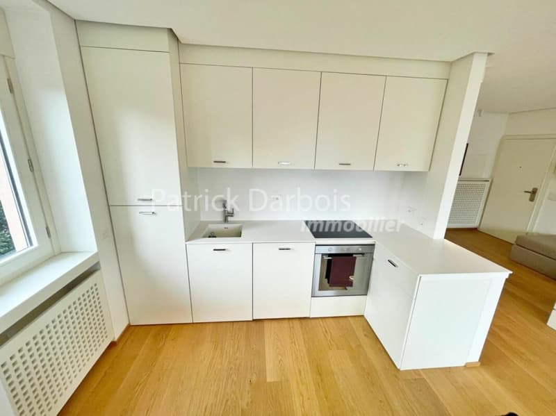 Appartamento di 3,5 locali a Paradiso (8)